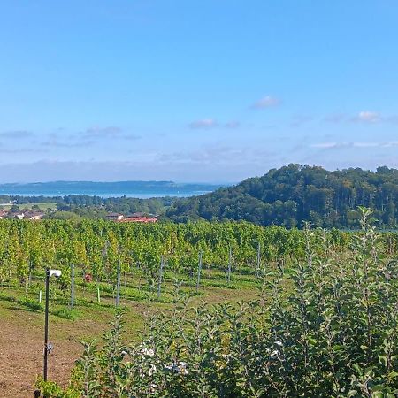 Villa De Charme Elegante, Calme, Nature Boudry Luaran gambar