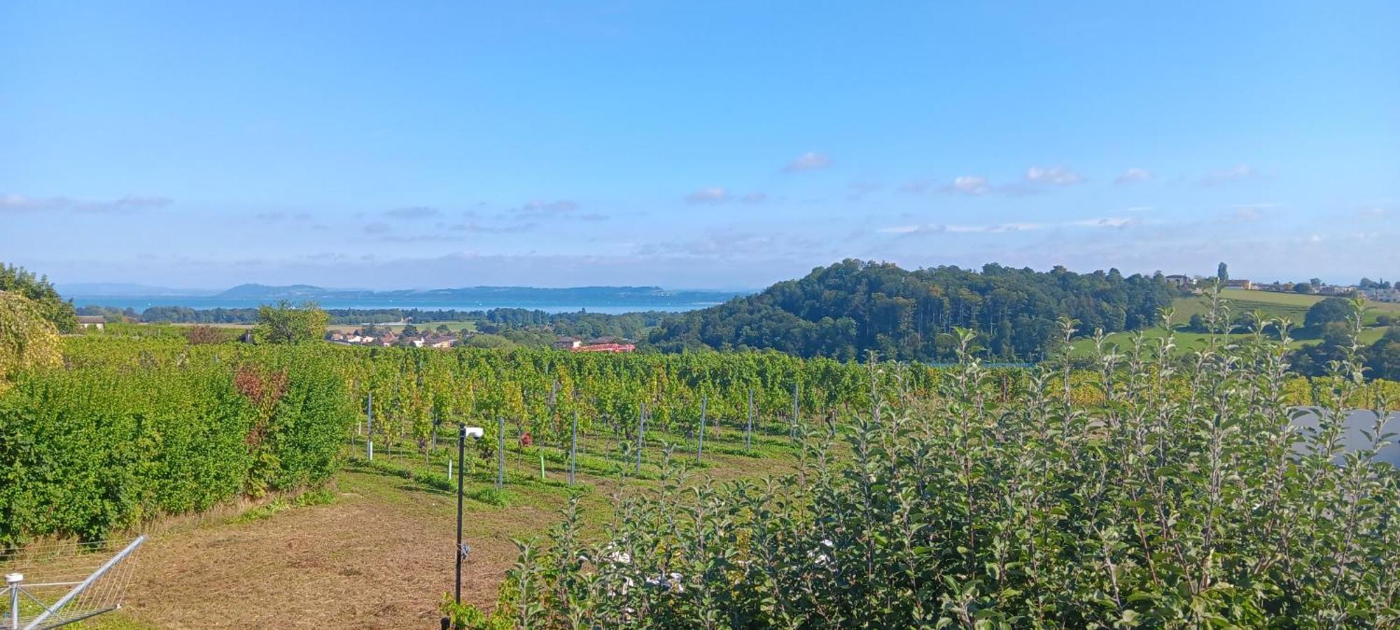 Villa De Charme Elegante, Calme, Nature Boudry Luaran gambar